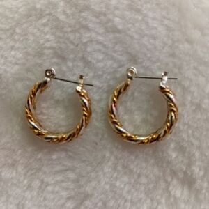Elegant Gold and Silver Toned Hoop Earrings